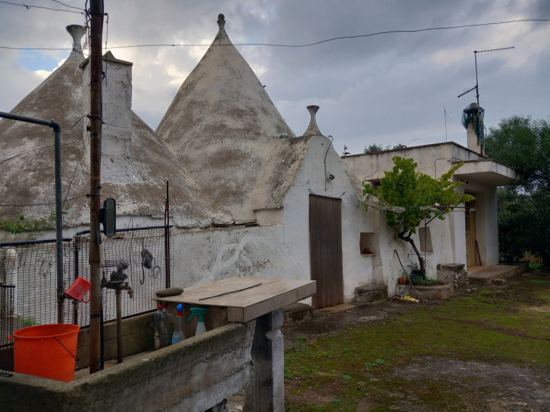 immagine annuncio 4 di 10