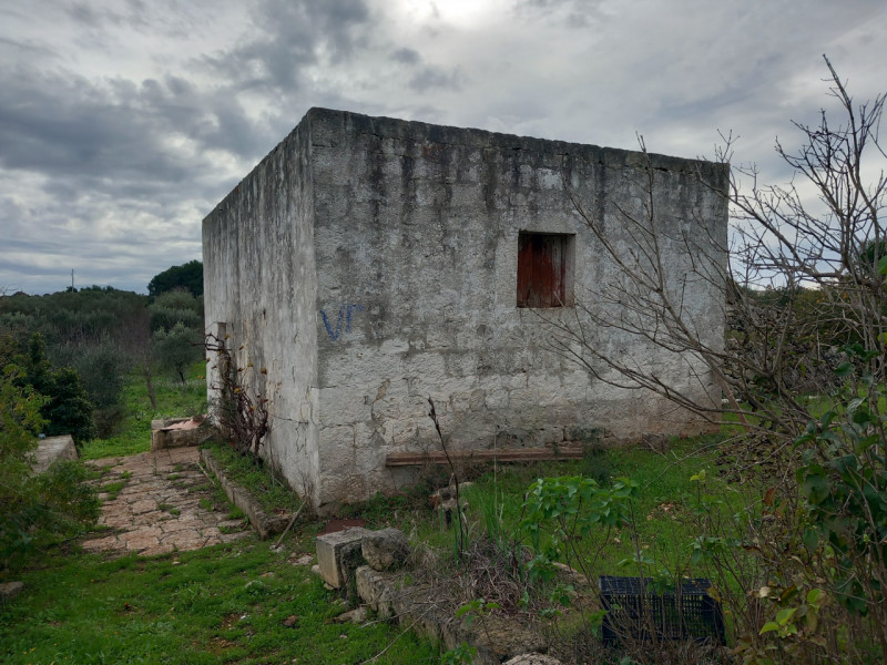 immagine annuncio 3 di 10