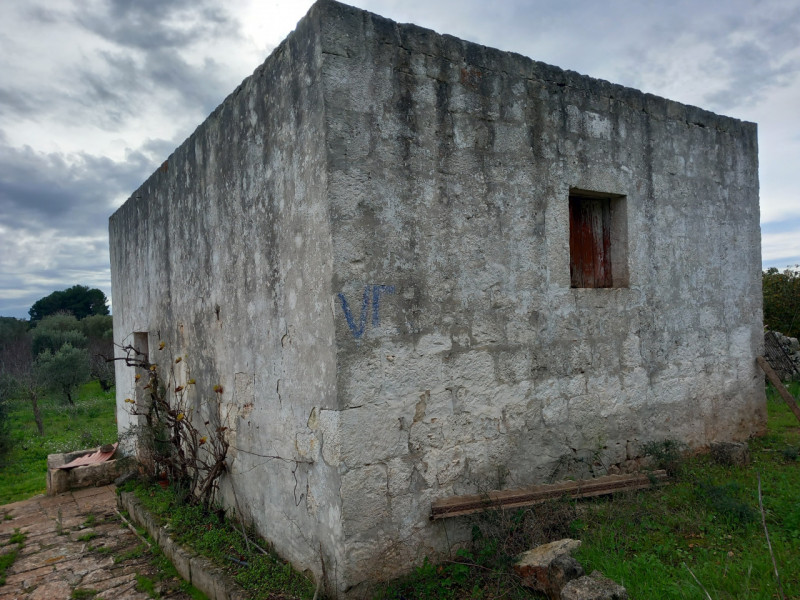 immagine annuncio 5 di 10