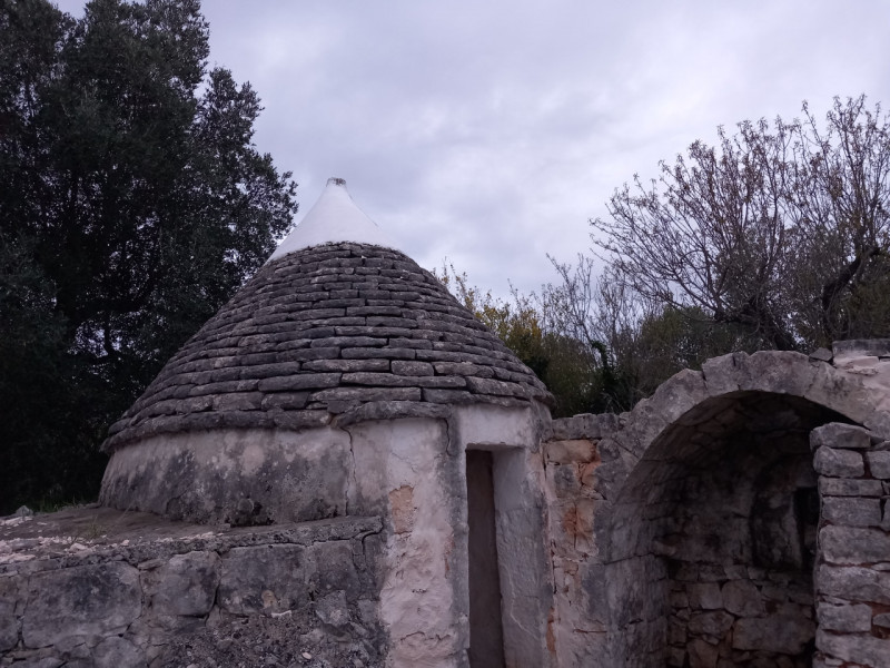 immagine annuncio 7 di 10