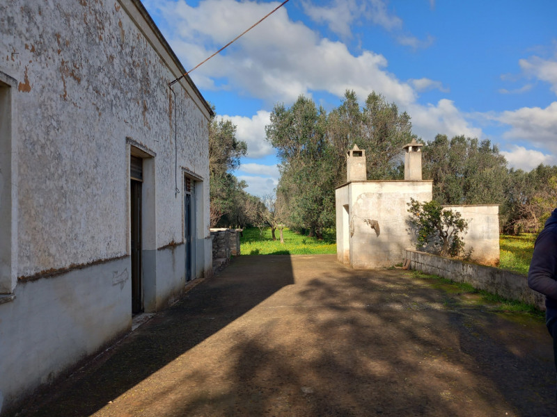 immagine annuncio 6 di 10