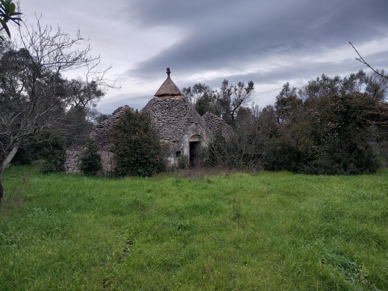 immagine annuncio 4 di 10