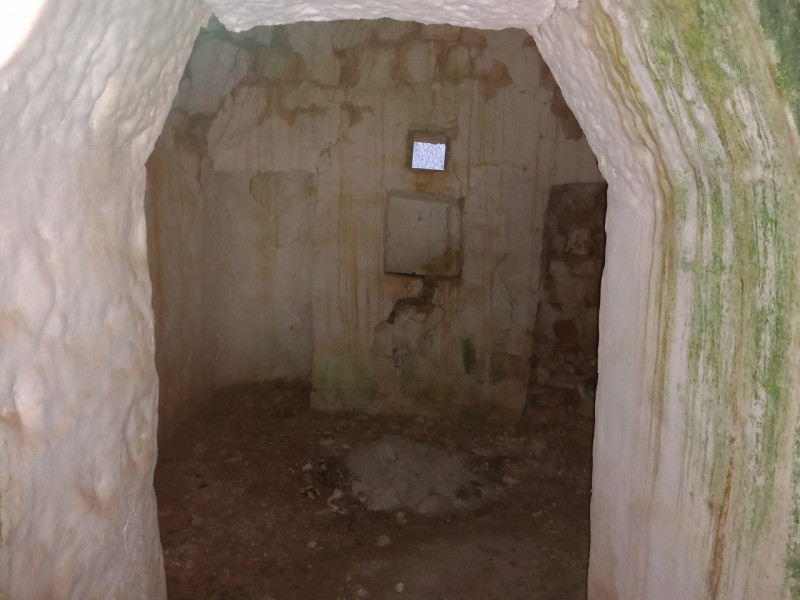 immagine annuncio 6 di 10