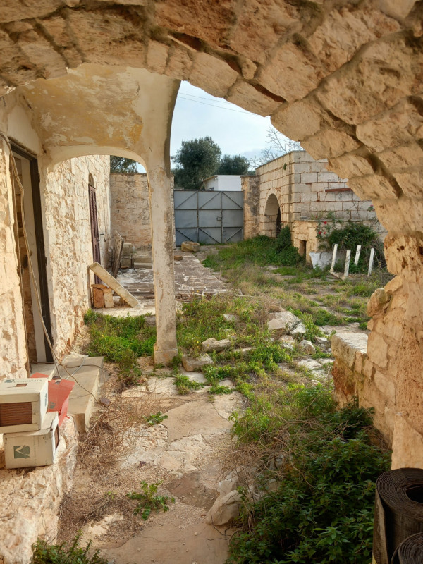 immagine annuncio 6 di 10