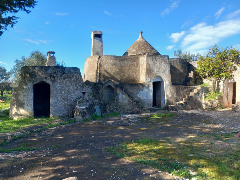 immagine annuncio 2 di 10