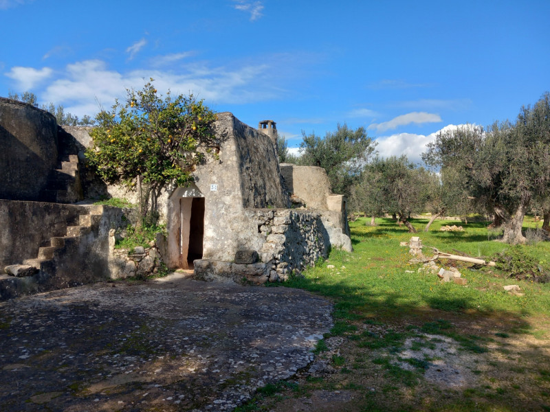 immagine annuncio 4 di 10