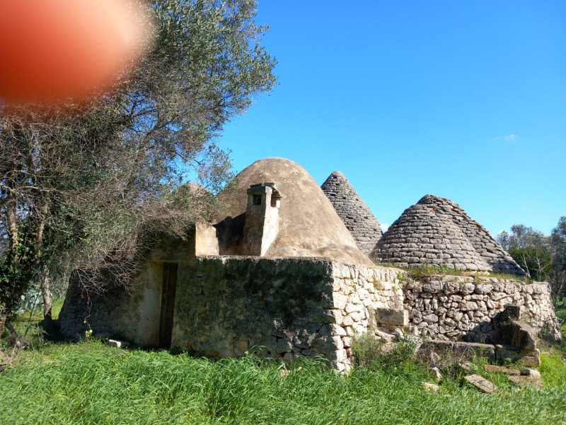 immagine annuncio 1 di 10