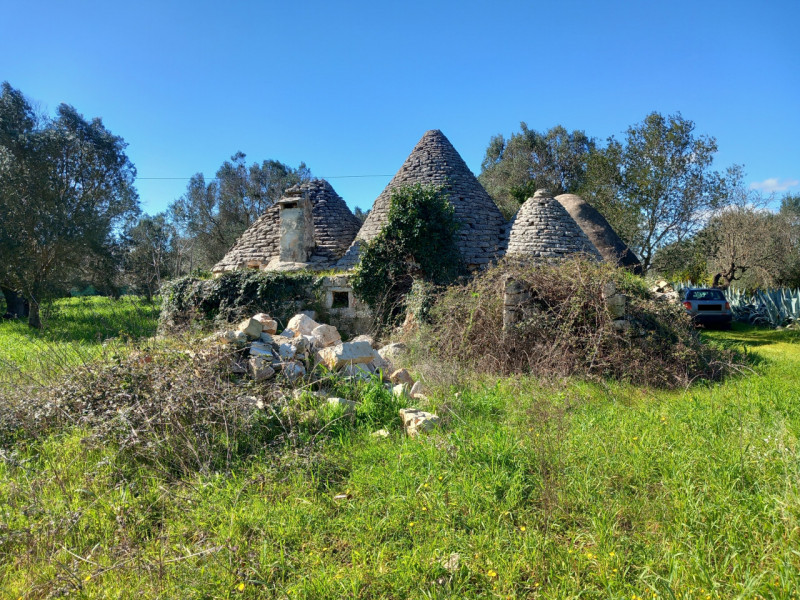 immagine annuncio 7 di 10