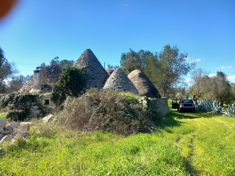 immagine annuncio 9 di 10