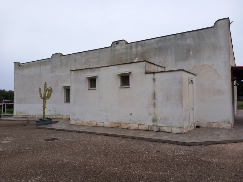 immagine annuncio 8 di 10