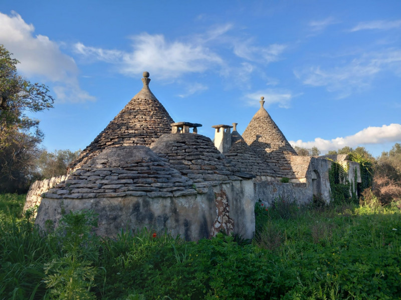 immagine annuncio 3 di 10