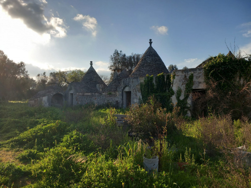 immagine annuncio 2 di 10