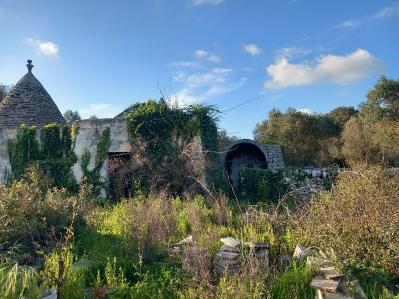 immagine annuncio 5 di 10