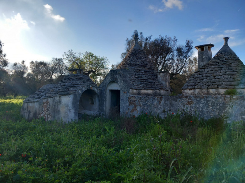 immagine annuncio 9 di 10