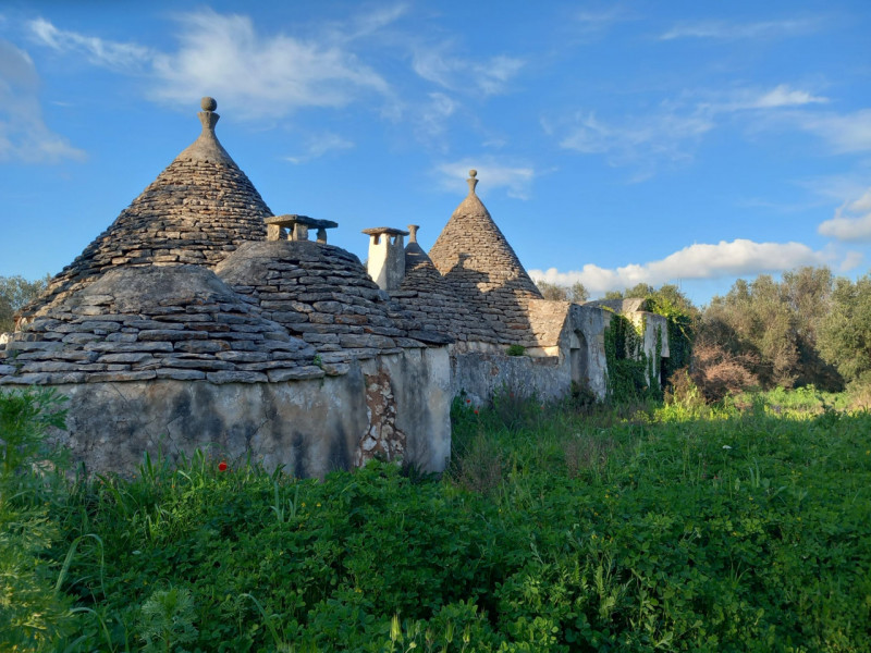 immagine annuncio 7 di 10