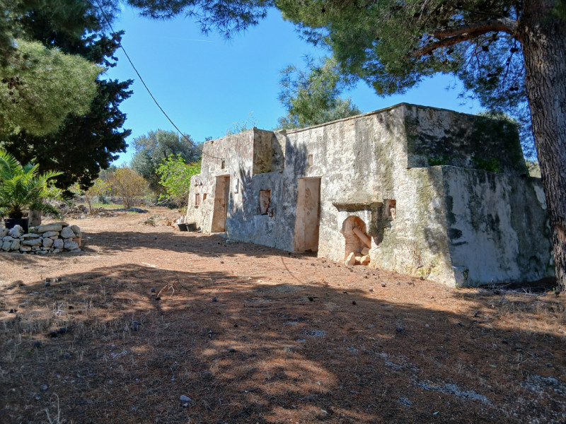 immagine annuncio 2 di 10