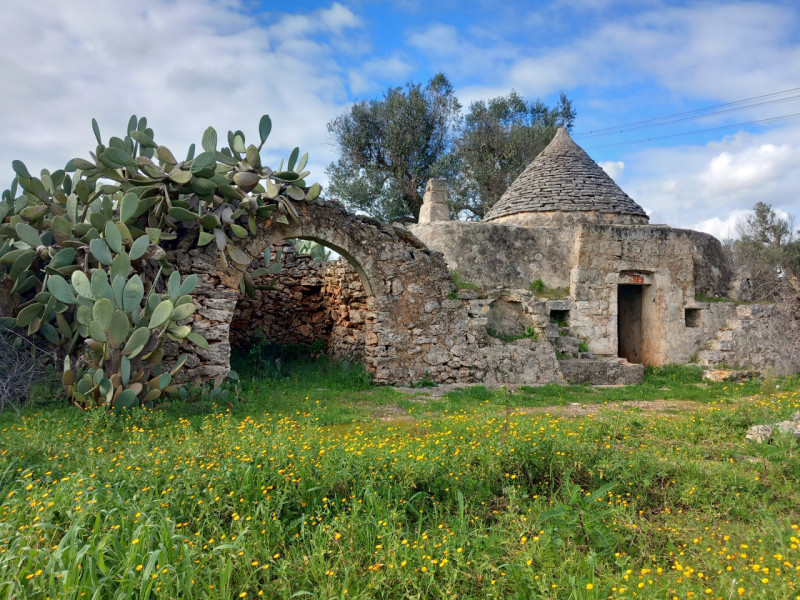 immagine annuncio 2 di 10