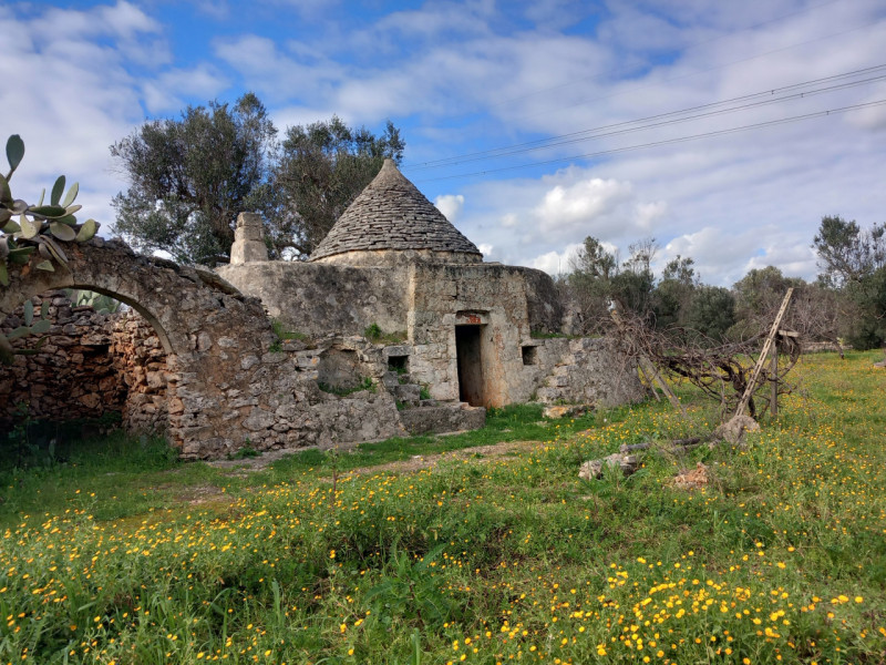 immagine annuncio 3 di 10