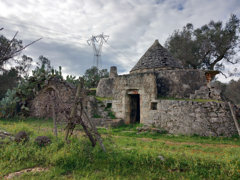 immagine annuncio 4 di 10