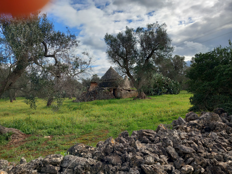 immagine annuncio 9 di 10