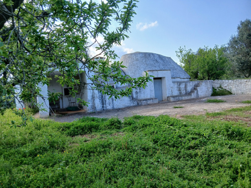 immagine annuncio 6 di 10