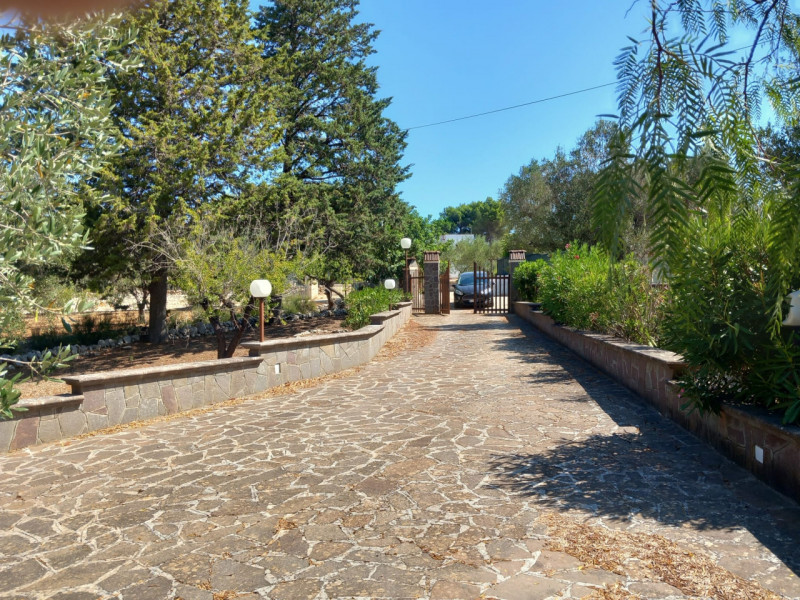 immagine annuncio 4 di 10
