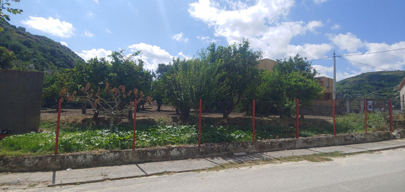 immagine annuncio 5 di 8