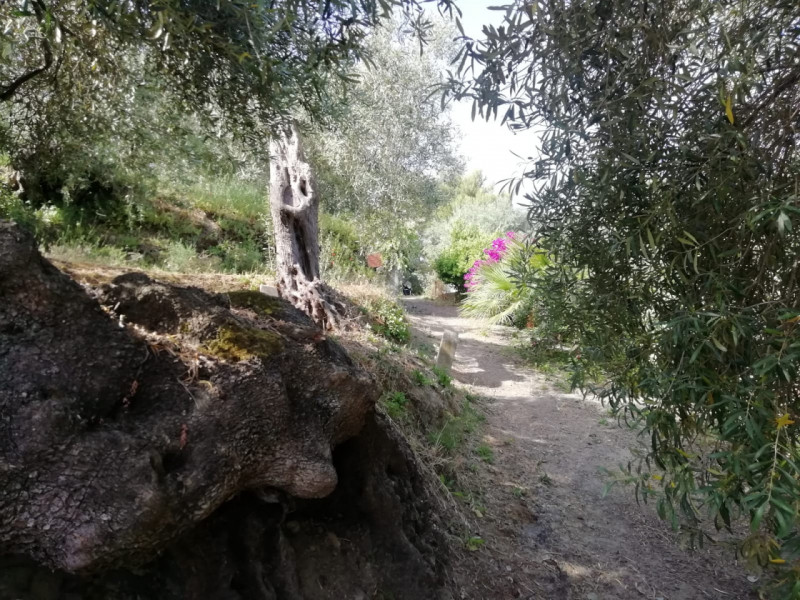 immagine annuncio 7 di 10