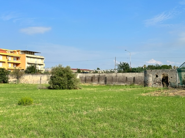 immagine annuncio 5 di 7