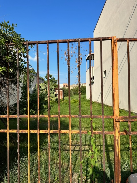 immagine annuncio 6 di 7