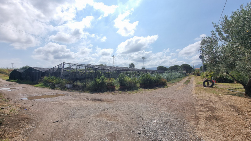 immagine annuncio 1 di 6