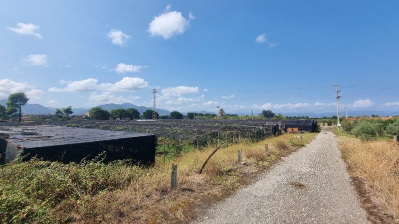 immagine annuncio 4 di 6