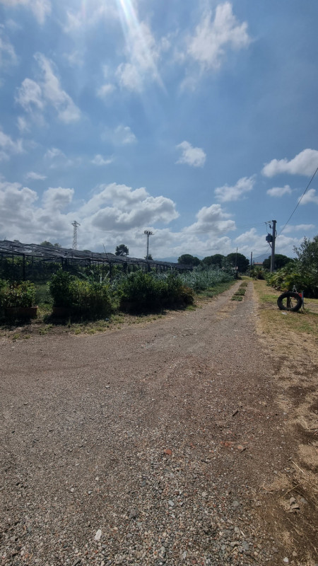 immagine annuncio 2 di 6