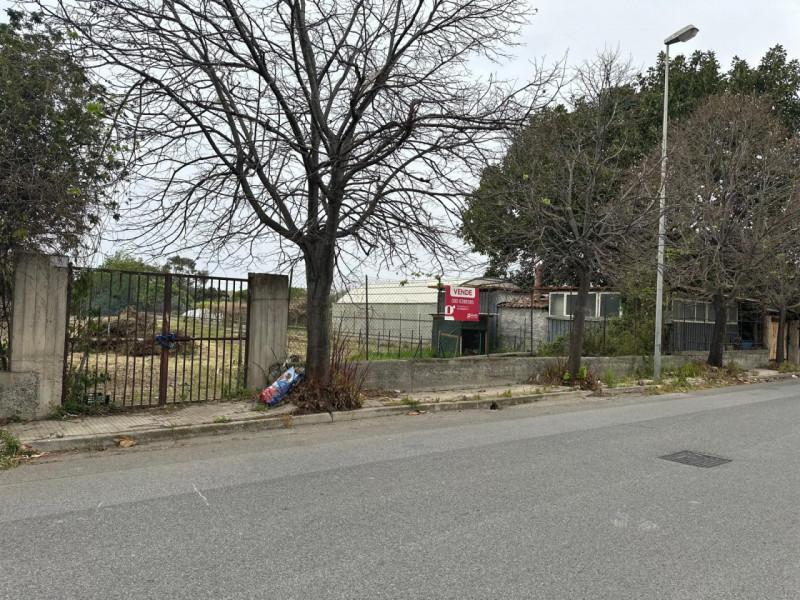 immagine annuncio 2 di 3