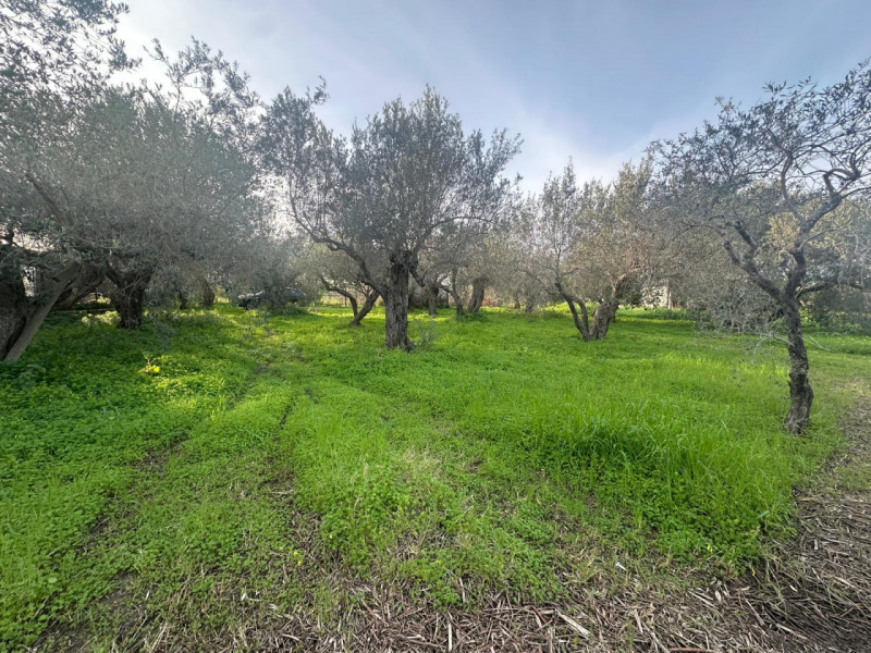 immagine annuncio 2 di 8