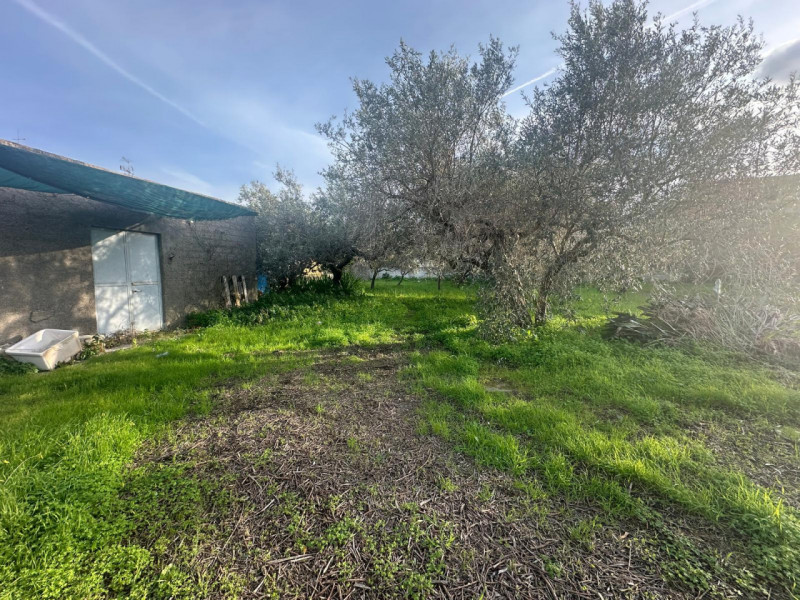 immagine annuncio 4 di 8