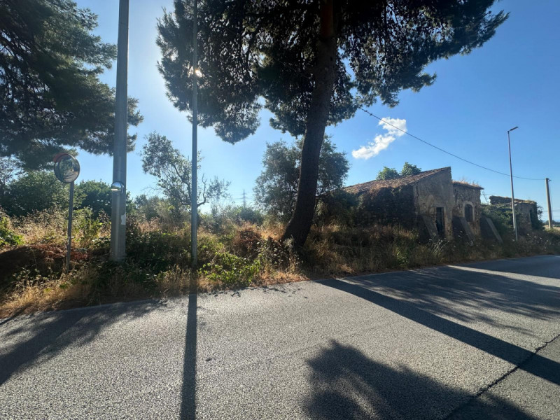 immagine annuncio 5 di 7