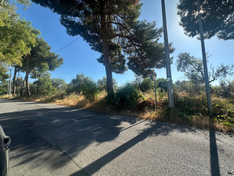 immagine annuncio 3 di 7