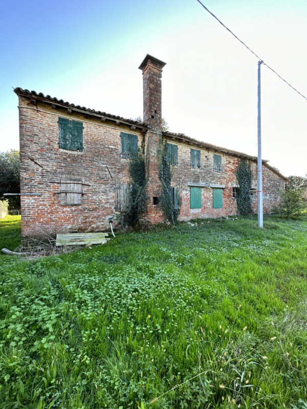 immagine annuncio 5 di 7