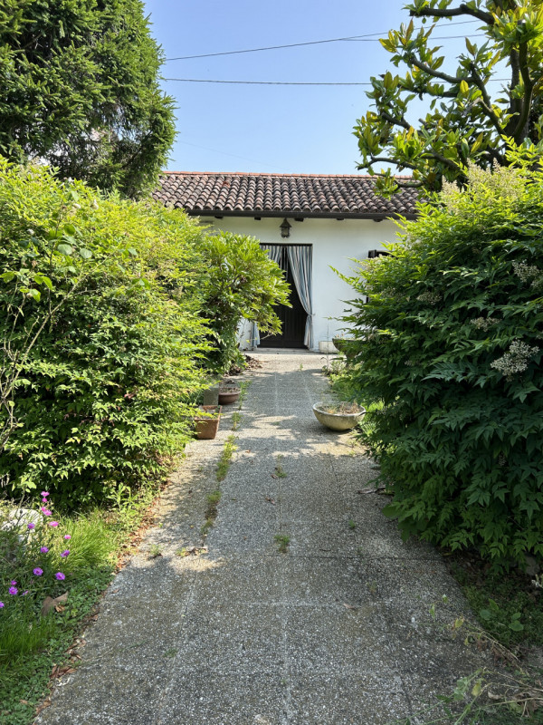 immagine annuncio 1 di 10