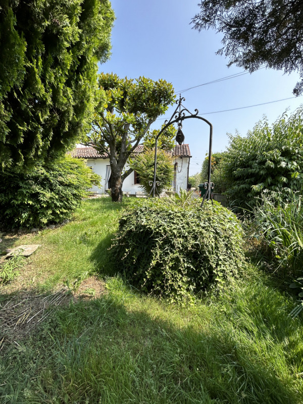 immagine annuncio 3 di 10