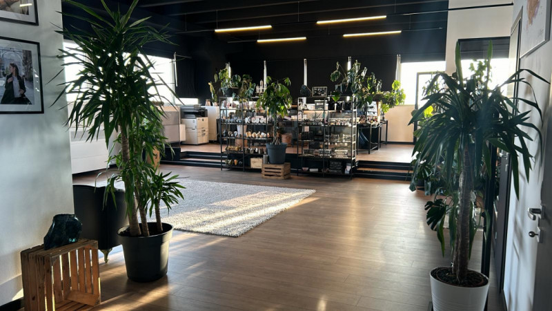 immagine annuncio 7 di 10