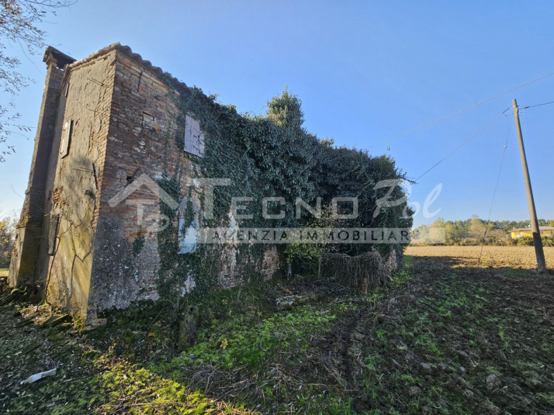 immagine annuncio 4 di 8
