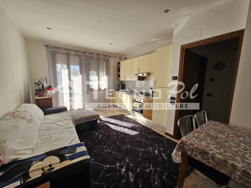 immagine annuncio 3 di 7