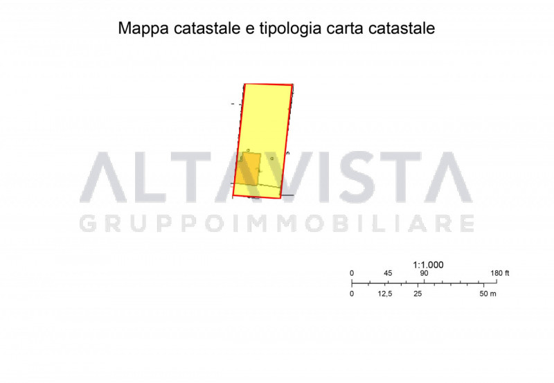 immagine annuncio 1 di 4
