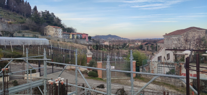 immagine annuncio 1 di 6