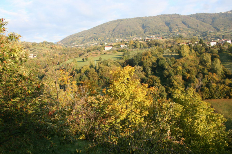 immagine annuncio 5 di 7