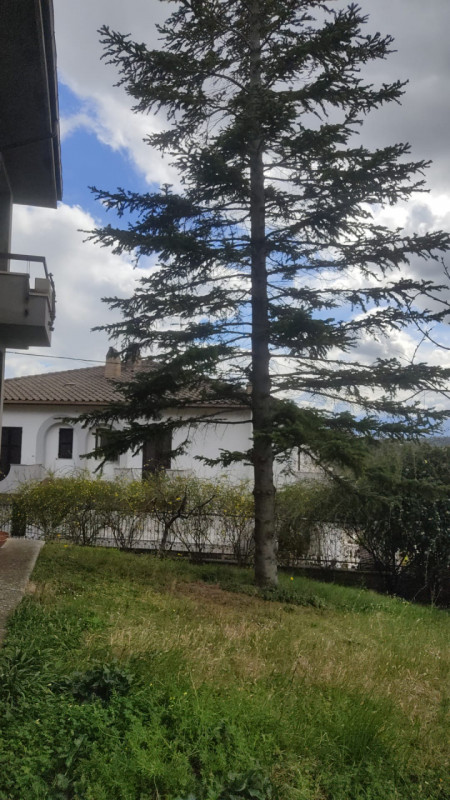 immagine annuncio 6 di 8