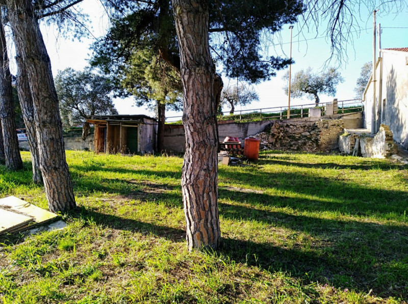 immagine annuncio 3 di 8