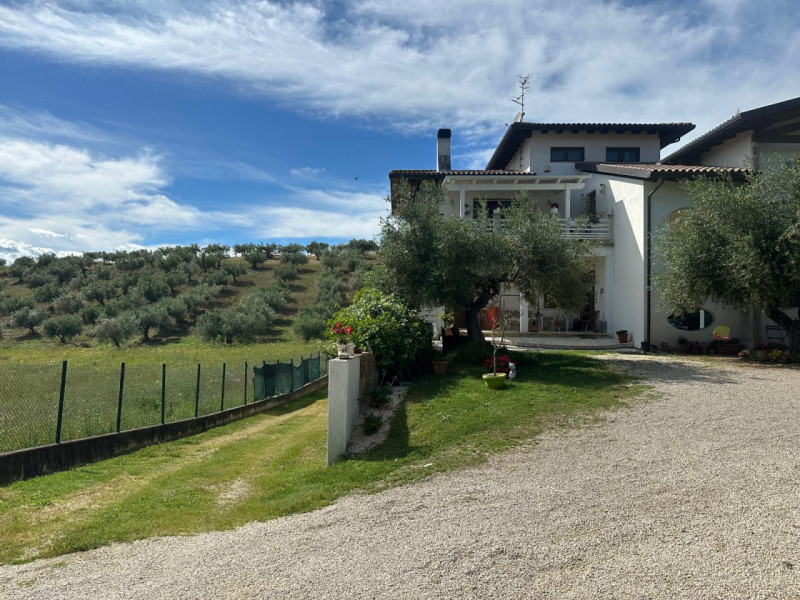 immagine annuncio 1 di 10
